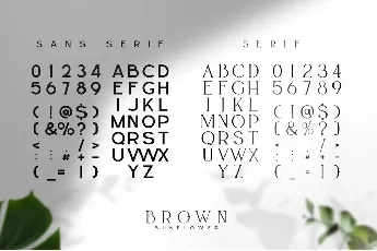 Brown Sunflower Serif font