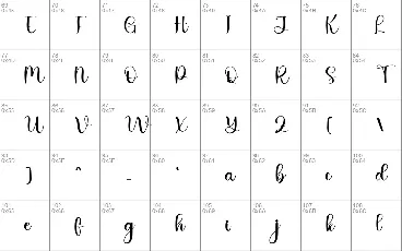 Study font