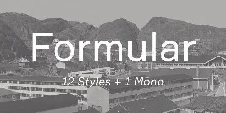 Formular Family font