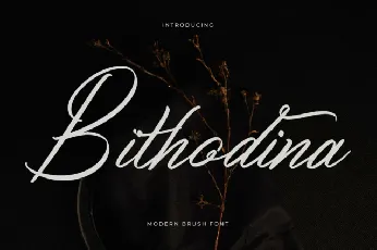 Bithodina font