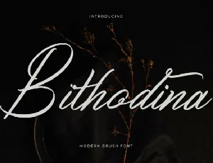 Bithodina font