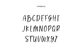 WisdomVacation font