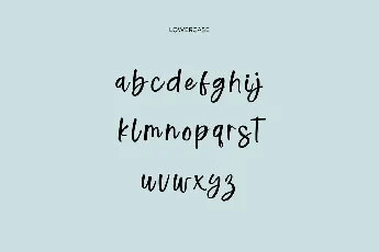 WisdomVacation font