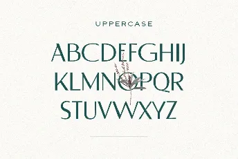 Derose font