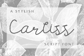 Carllis Script font