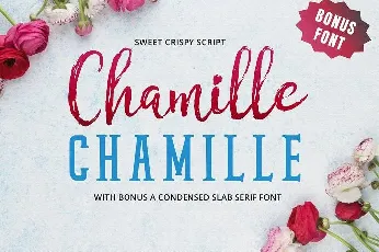 Chamille Duo font