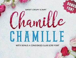 Chamille Duo font