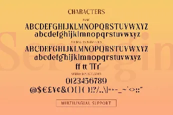 Servegin font