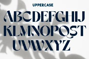 VEMKA font