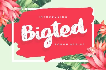 Bigted Rough Script font