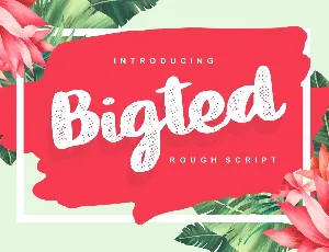 Bigted Rough Script font