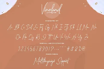 Vineland Demo font