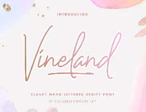 Vineland Demo font