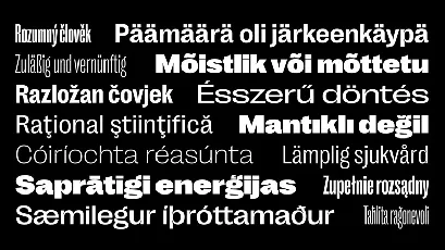 Right Grotesk Family font