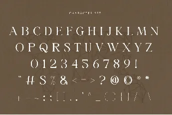 Cakelan font