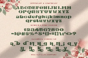 Mibaguy font