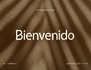 Bienvenido font