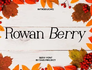 Rowan Berry font