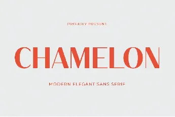 Chamelon font