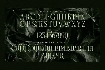 Celliqath font