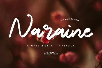 Naraine Personal Use font