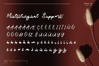 Naraine Personal Use font