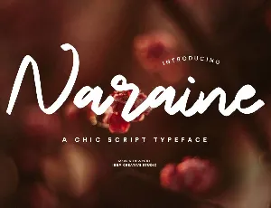 Naraine Personal Use font