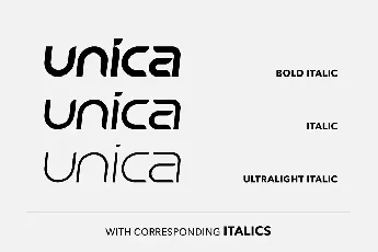 SB Unica Family font