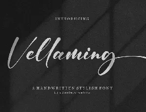 Vellaming font