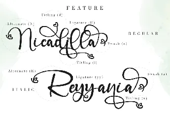 Angelynn Modern Calligraphy Script font