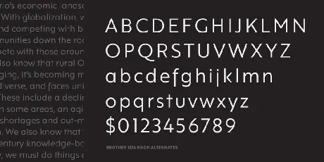 Brother 1816 font