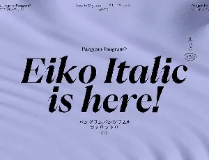 Eiko v2.0 font
