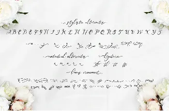 Nazeefa font