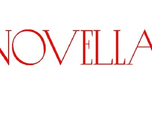 Novelist font