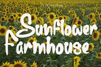 Sunflower Farmhouse Display font