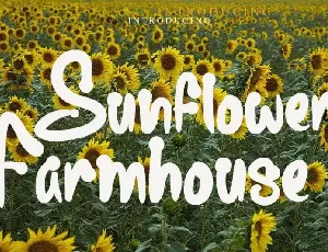 Sunflower Farmhouse Display font