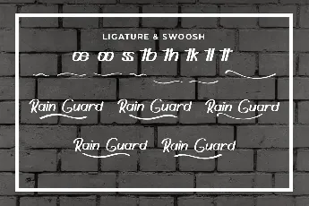 Rain Guard Demo font