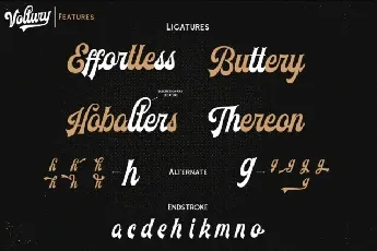 Voltury font