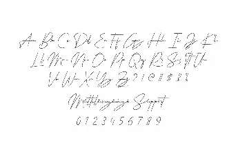 Signaturex Demo font