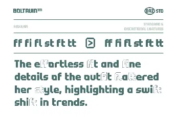 Boltruin Demo font