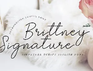 Brittney Signature font