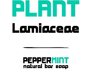 Peppermint font