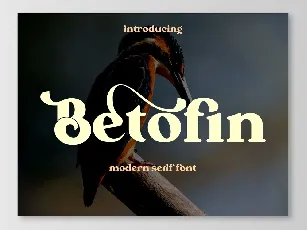 Betofin font