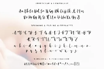 Beauty Mermaid font