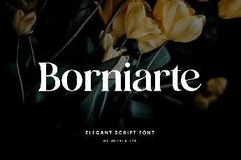 Borniarte font