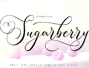 Sugarberry Calligraphy Script font