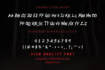 Raiden King font