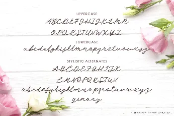 Angel Rose font