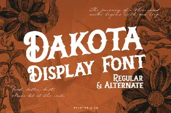 Dakota Display font