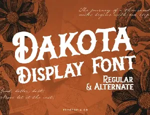Dakota Display font